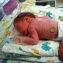 Born_March_29_2006
